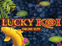 Lucky Koi